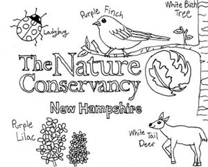 Hand-drawn image of The Nature Conservancy logo, a lady bug, purple finch, white-tailed deer, white birch tree and purple lilac.