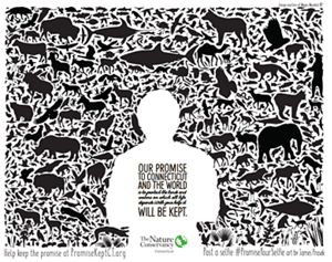 Artwork by James Prosek