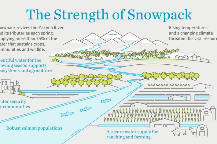 The Strength of Snowpack