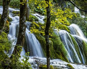 The waterfalls of  Plitvice Lakes National Park in Croatia. Plitviče Lakes National Park is a 295-sq.-km forest reserve in central Croatia. It's known for a chain of 16 terraced lakes, joined by waterfalls, that extend into a limestone canyon. Walkways and hiking trails wind around and across the water. The Nature Conservancy is developing partnerships with European governments and development agencies to achieve shared conservation goals around the world.
