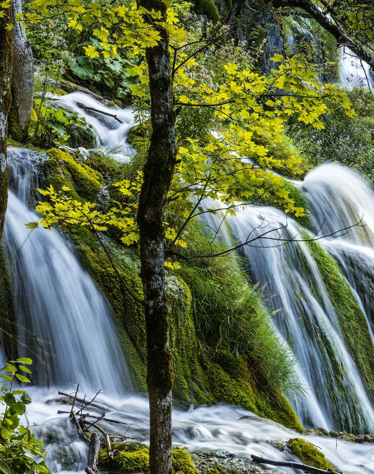 Cascades of blue water pour over lush vegetation.