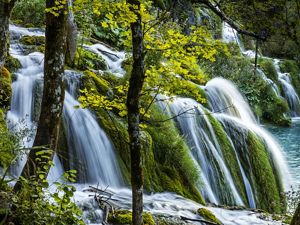 Waterfall cascading through a lush forest in Croatia.