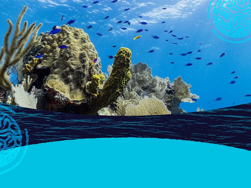 Stylized graphic of a the earth overlaid on a seascape of small blue fish swimming on a coral reef.