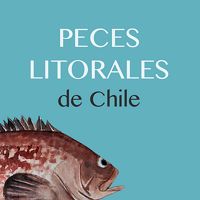 Producto para divulgar la importancia de un manejo sustentable de los recursos pesqueros marinos de Chile.