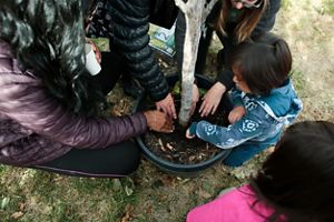 People gathering around a tree with hands in soils.