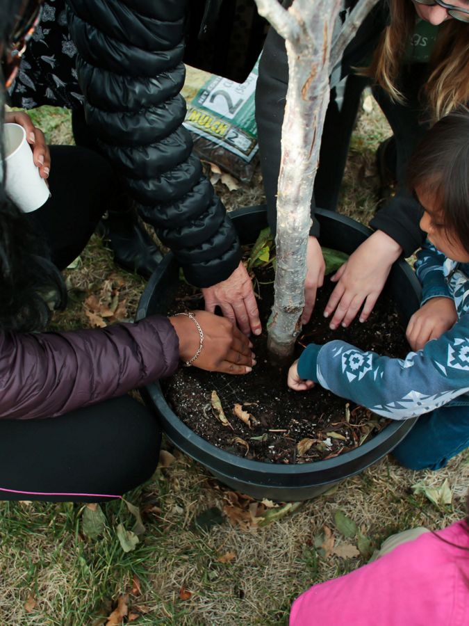 People gathering around a tree with hands in soils.