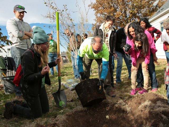 A group of people kneeled down planting a tree in the backyard of a house.