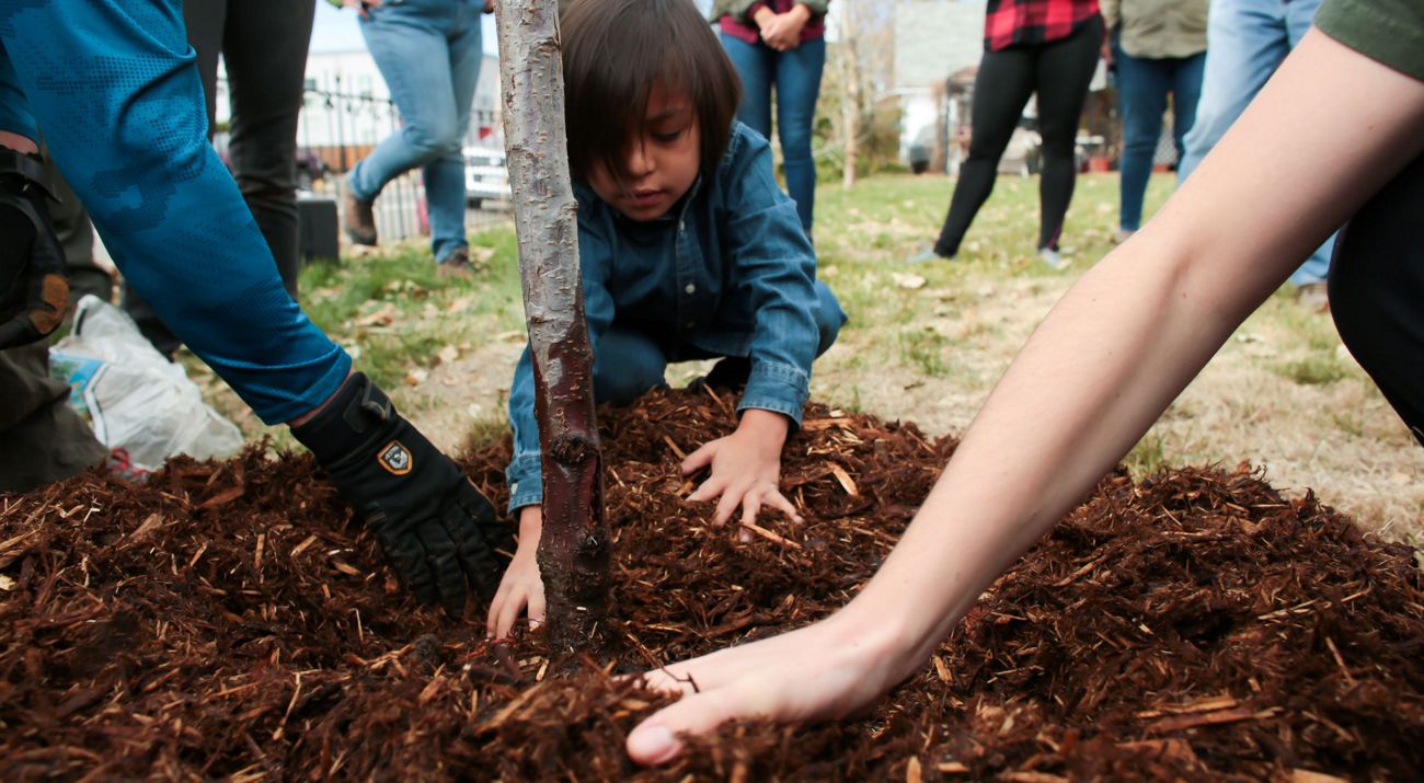 A kid moving around mulch on the ground.