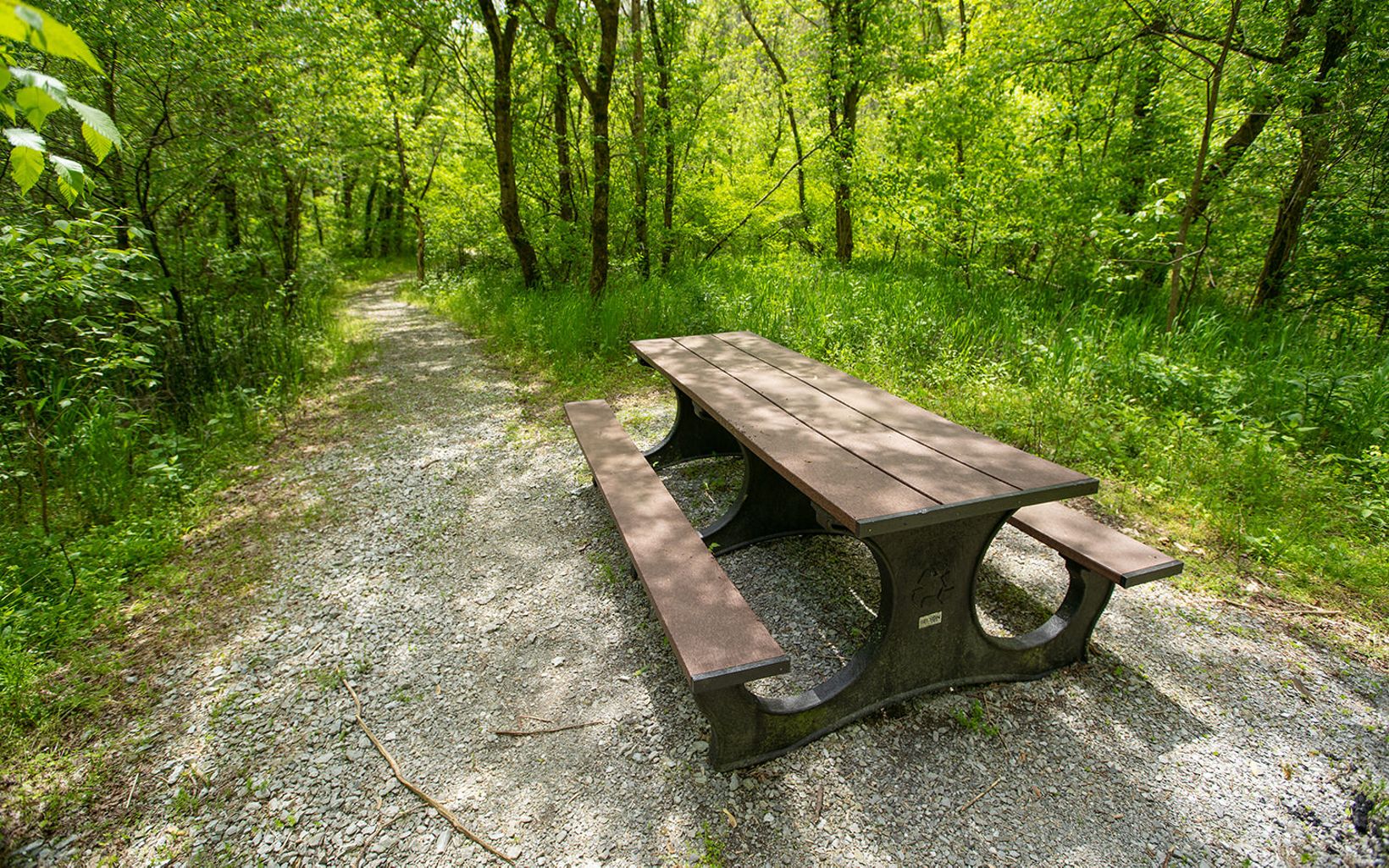 Picnic Table Fall is a good time to install infrastructure at preserves such as this picnic table at Dupree Nature Preserve in Kentucky. © Mike Wilkinson