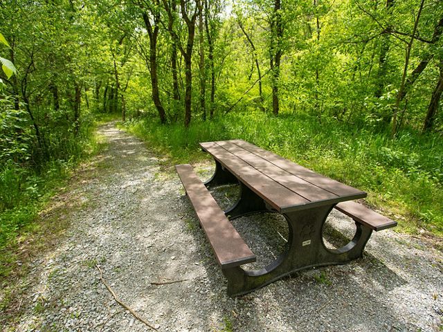 Picnic Table in a wooded area.