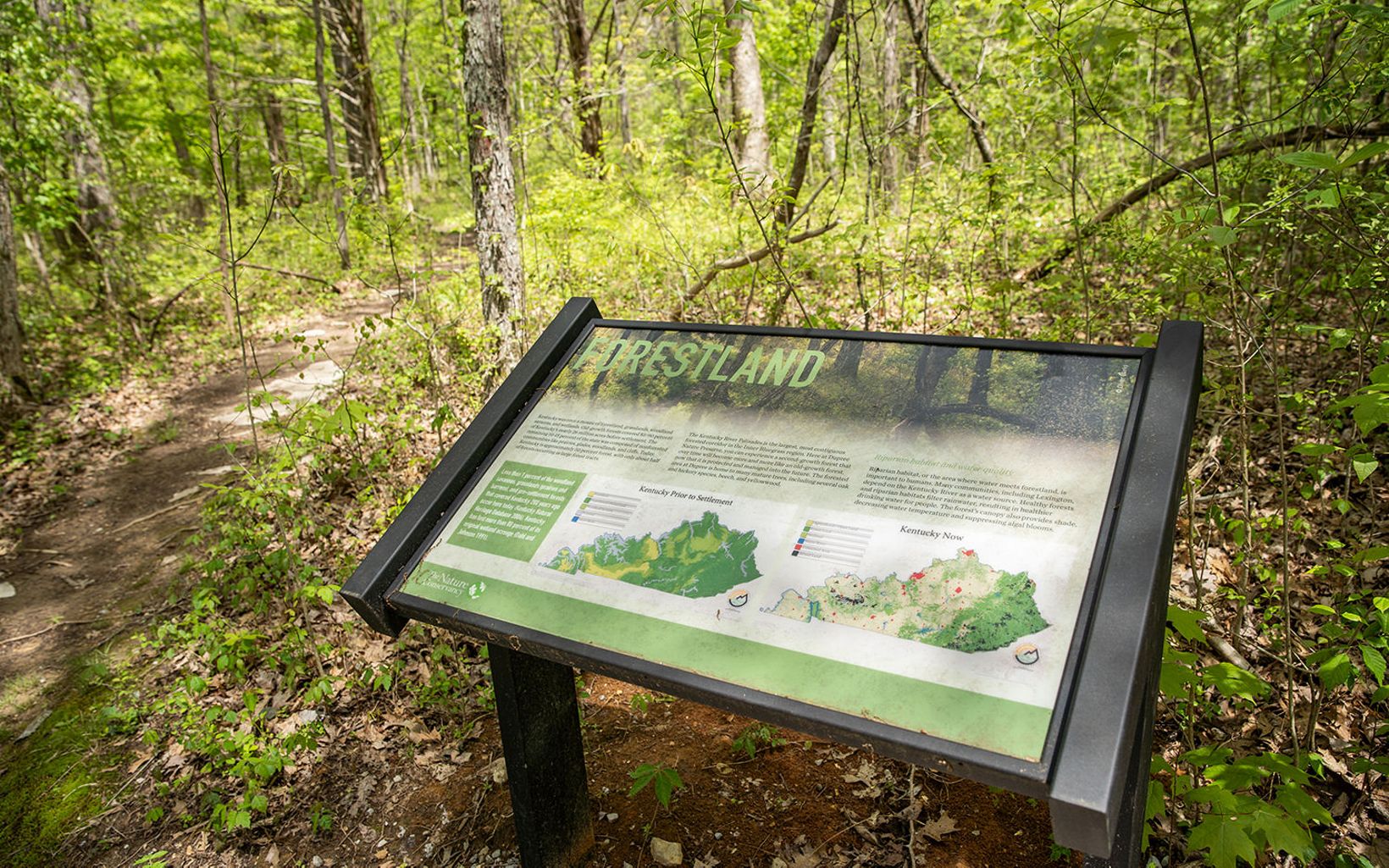 
                
                  Forestland Sign A newly installed sign on forestland at Sally Brown and Crutcher Nature Preserves in Kentucky.
                  © Mike Wilkinson
                
              