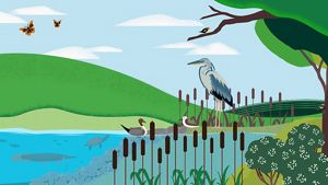 Graphic illustration showing wildlife in and near a river.