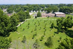 A once open field of grass is covered in medium sized trees at a green park in Louisville, Kentucky.