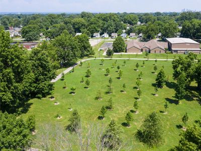 A once open field of grass is covered in medium sized trees at a green park in Louisville, Kentucky.