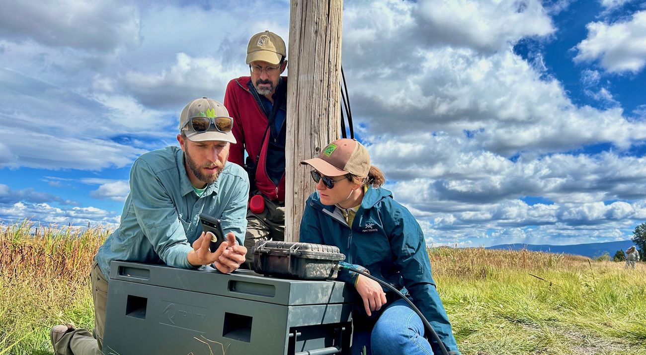 Three people in a grassy field gather around a post and look at a smart phone together.