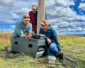 Three people in a grassy field gather around a post and look at a smart phone together.