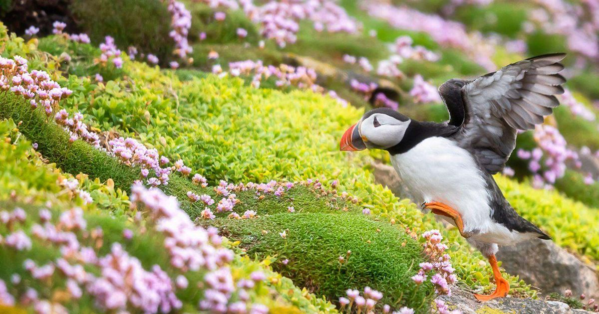 Gifts Through Your Will or Trust The Nature Conservancy