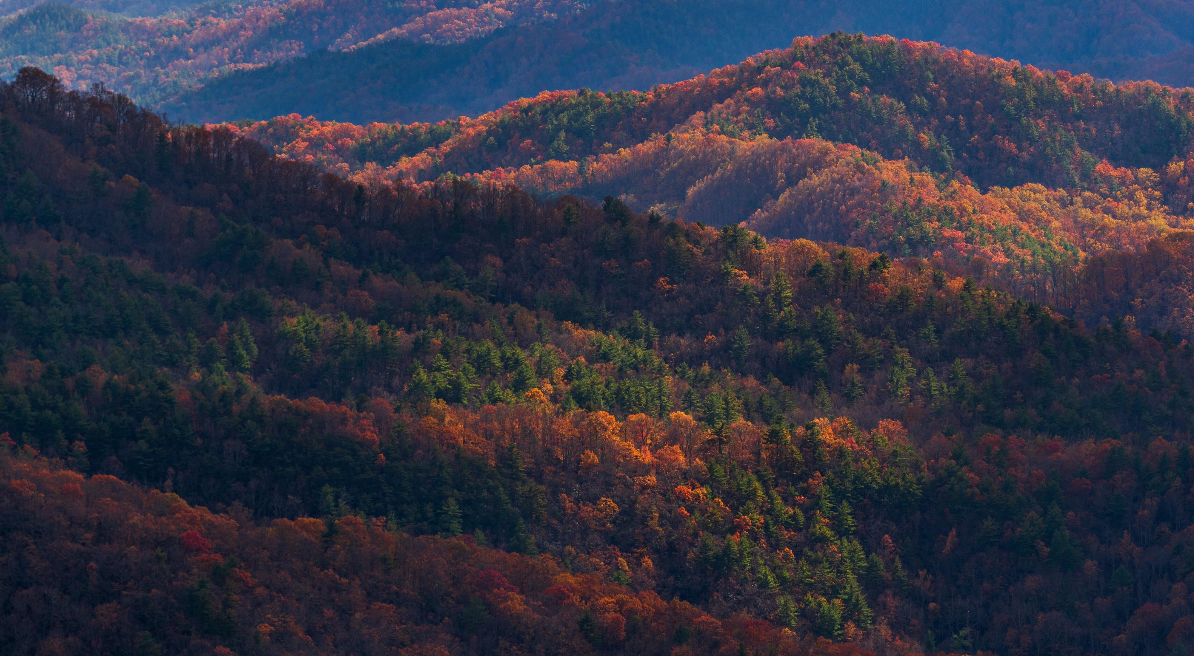 Photo of forests, mountains and hills in the Blue Ridge Mountains of North Carolina, all in fall color.