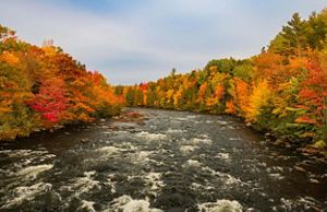 A wide river flows quickly through an autumn forest.