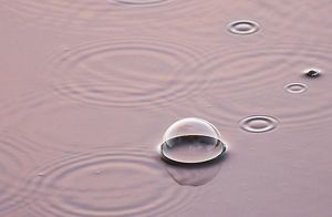 Burbujas y gotas de lluvia en la superficie de una masa de agua de tonalidad rosa.
