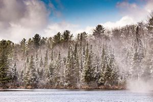 Snow-covered evergreen trees along a frozen lake in Wisconsin.