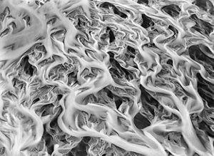 Black-and-white aerial view of 'fingers' of a glacial river flowing over lava.