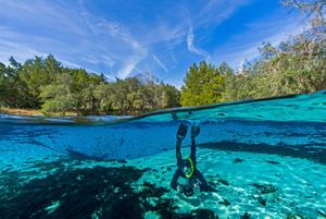 Underwater view of a scuba diver swimming through a freshwater spring.