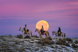 three cowboys ride on horseback as an orange moon sets behind them.