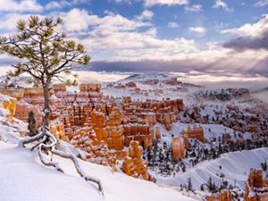 Bryce Canyon National Park in Utah in winter, with snow and red-colored hoodoos.