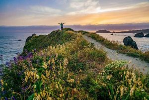 A person stands on a hill covered in flowers at the edge of the ocean and stretches their arms out wide.