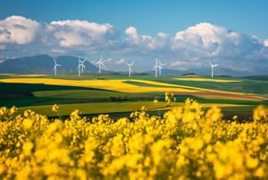 The blooming season. Integrating nature and people in the clean energy transition.