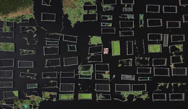 Rectangular fish pens create an abstract geometry on the surface of a lake.