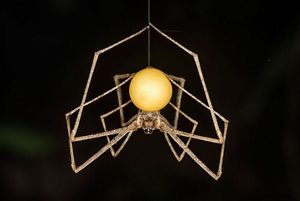 A long legged spider hangs suspended from an egg sac spun from its own silk. The round sac seems to glow with a soft golden light.