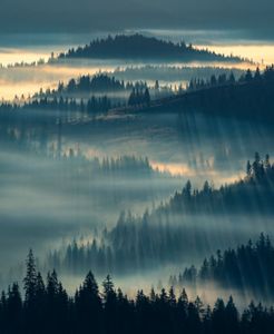 An image made in the Apuseni Mountains, mountains that are part of the Western Carpathians. I witnessed a special sunrise seen from Poiana Calineasa towards the Poiana Horea - Belis area. Wild forests under the warm sunlight. The image was made on May 1, 2023.