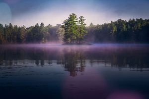 A mist overstill water. In the center of the water is a small island covered in green trees. The shore is covered in dense, green forest. The mist has a purple hue.