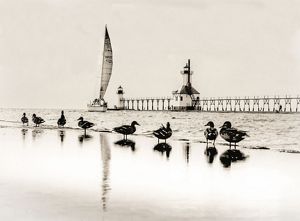 Ducks on the shore of a beach. Their images are reflected in the wet sand. A sailboat moves alongside a pier and lighthouse.