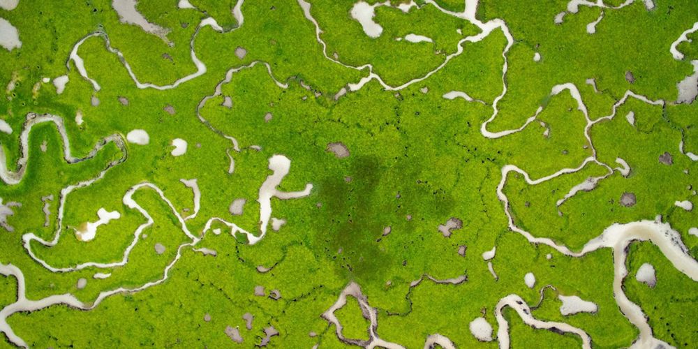 Aerial view of winding patterns created by a river surrounded by a lush green landscape.