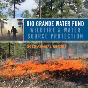 Firefighter stands in front of prescribed burn in forest.