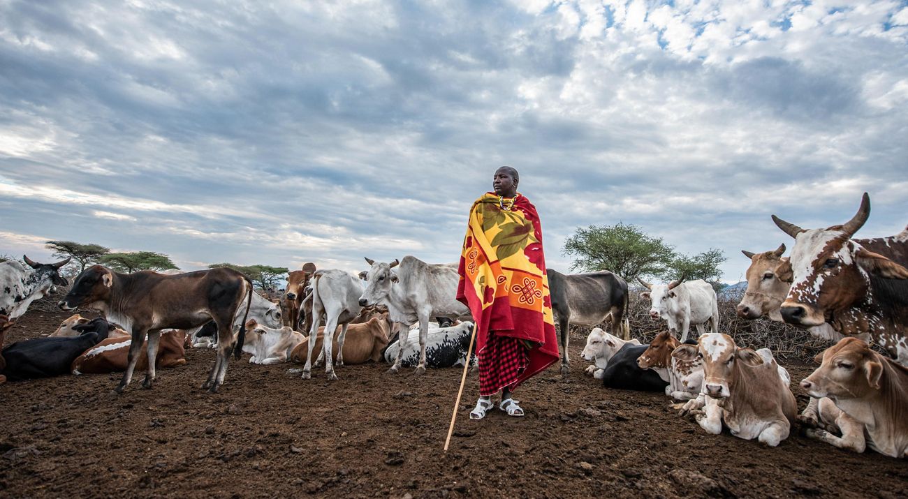 Naronyo Nang’oiho stands with his livestock in Selela, northern Tanzania.