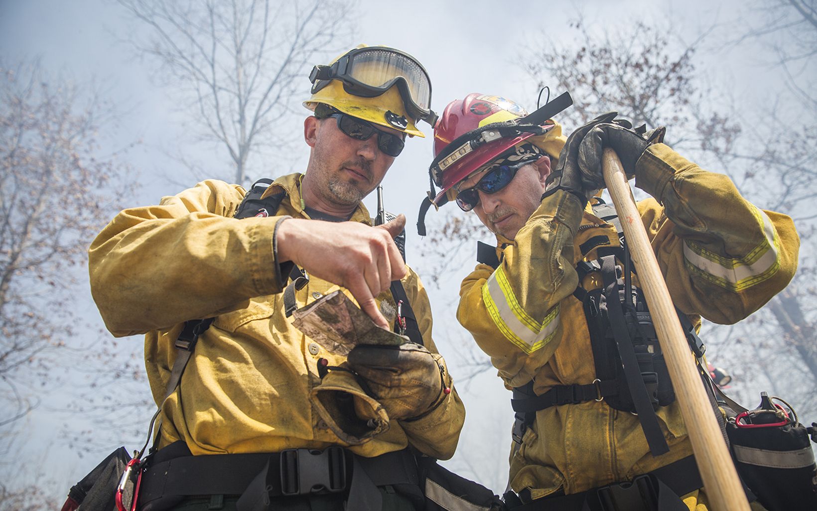 
                
                  Prescribed Fire Fire personnel check a map during a prescribed fire.
                  © Mike Wilkinson
                
              