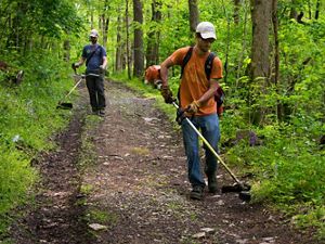 Two TNC employees use weed trimmers to clear hiking trails.