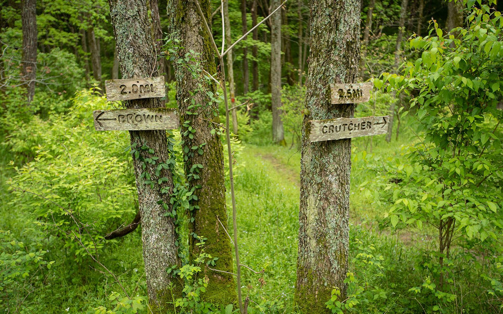 Trail Signs Trail signs are seen at Sally Brown and Crutcher Nature Preserves. © Mike Wilkinson