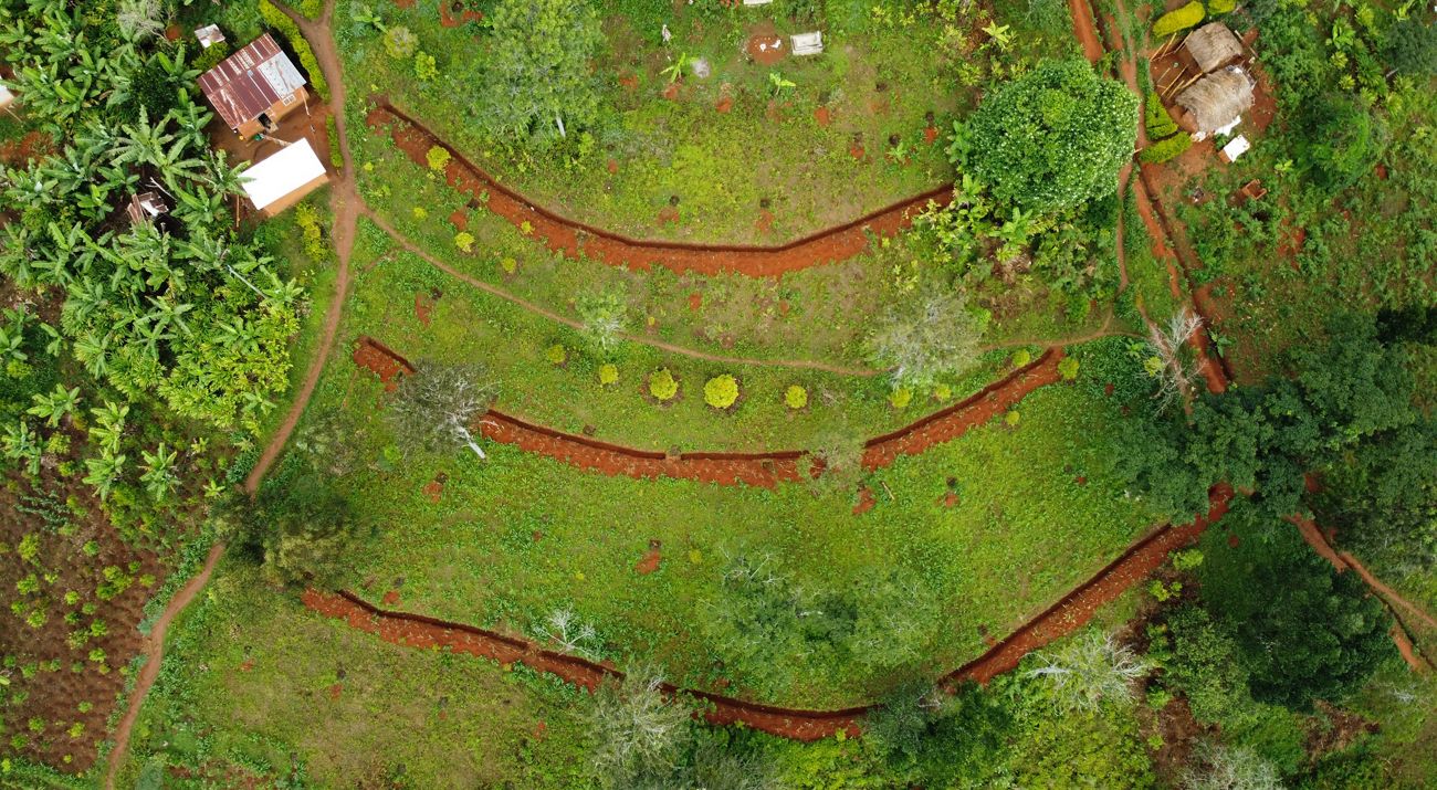 Aerial view of a farm.