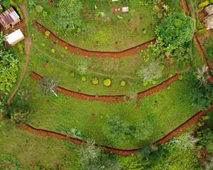 Aerial view of terraced farm land.