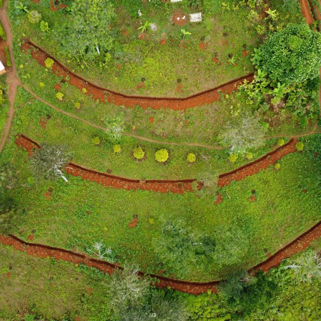 Aerial view of terraced farm land.