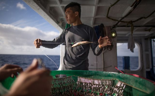 a man stands on a fishing vessel, looking to his left off the boat while holding a bait fish