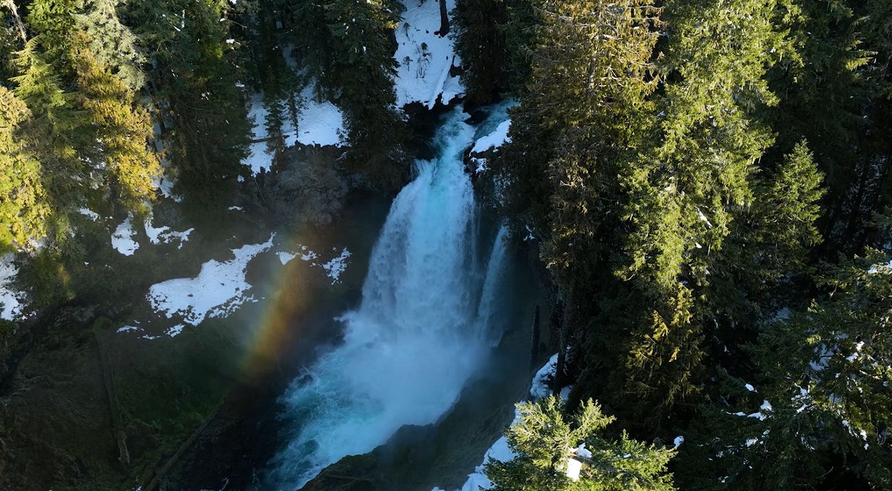 A waterfall flowing through a forest.