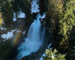 A waterfall flows through a forest.
