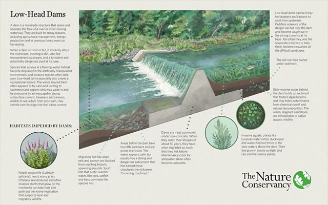 Graphic of a low-head dam with facts