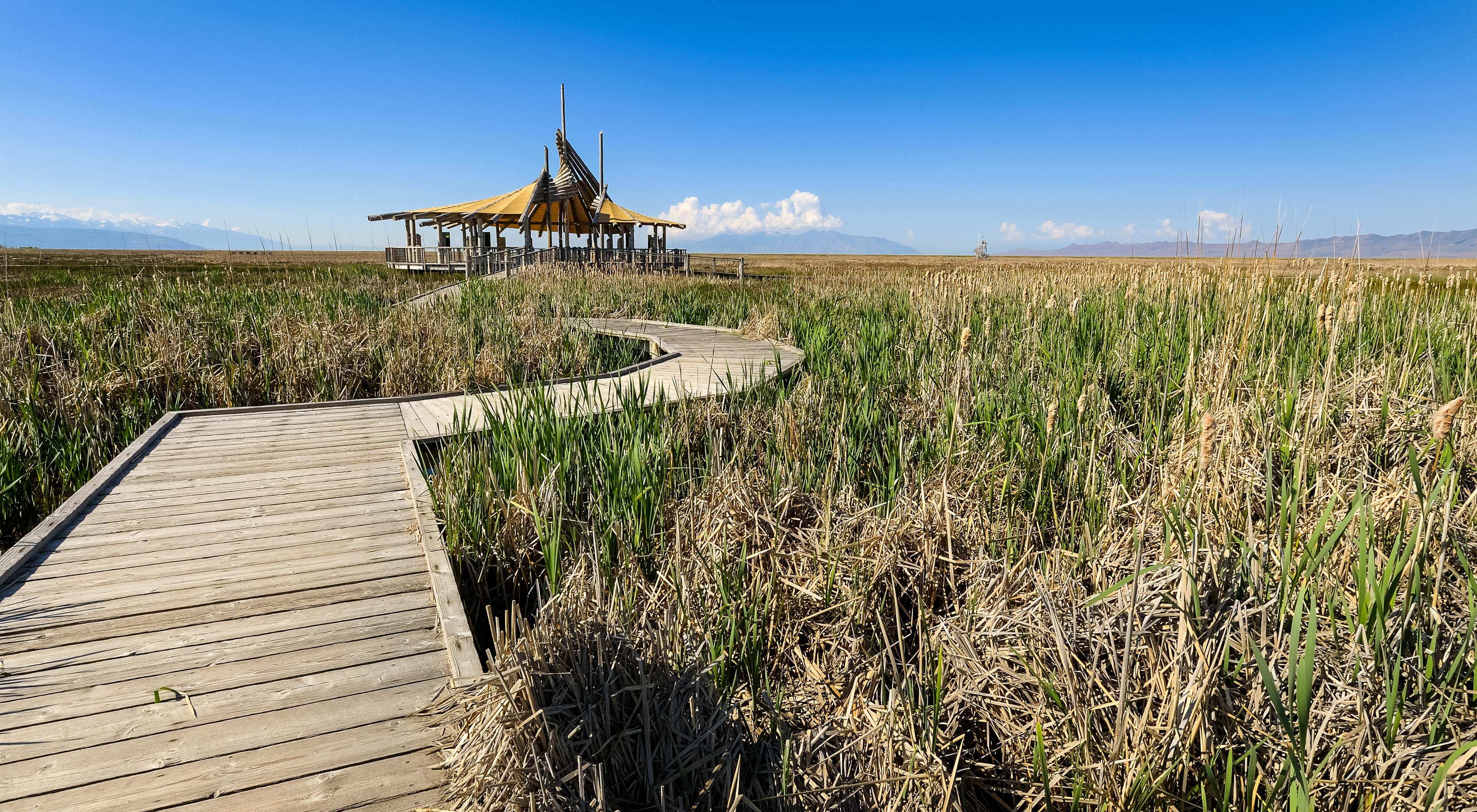 A long boardwalk through a marsh ends in a covered pavilion.